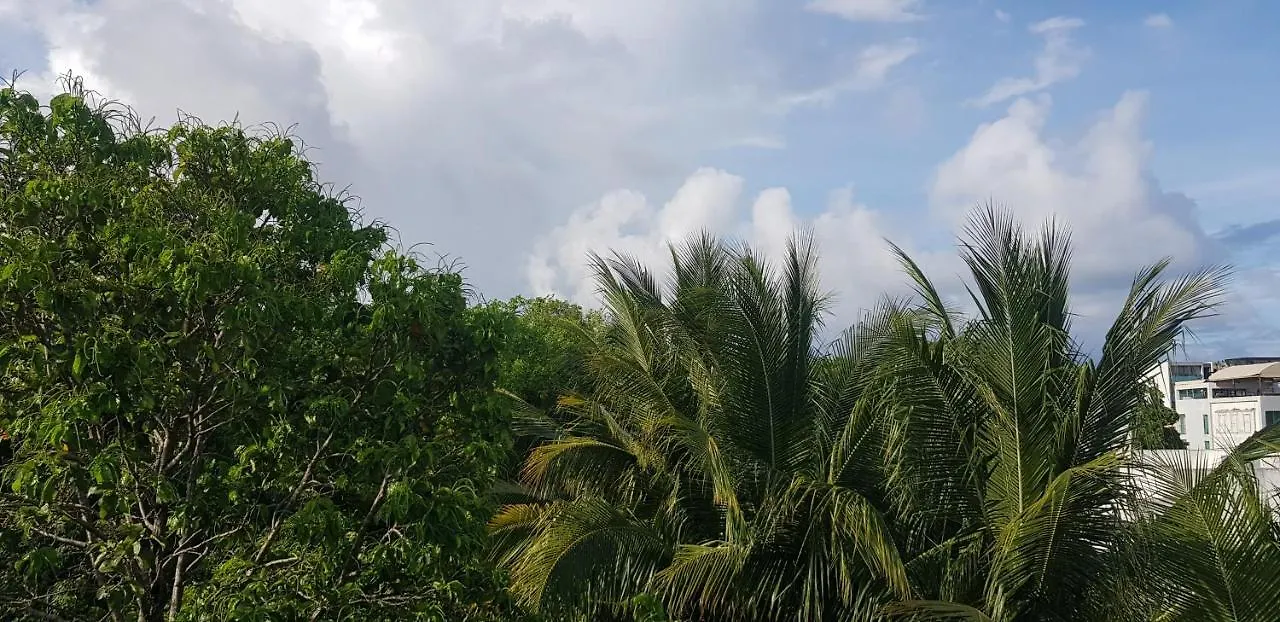 The Green Village Boutique Hotel Playa del Carmen