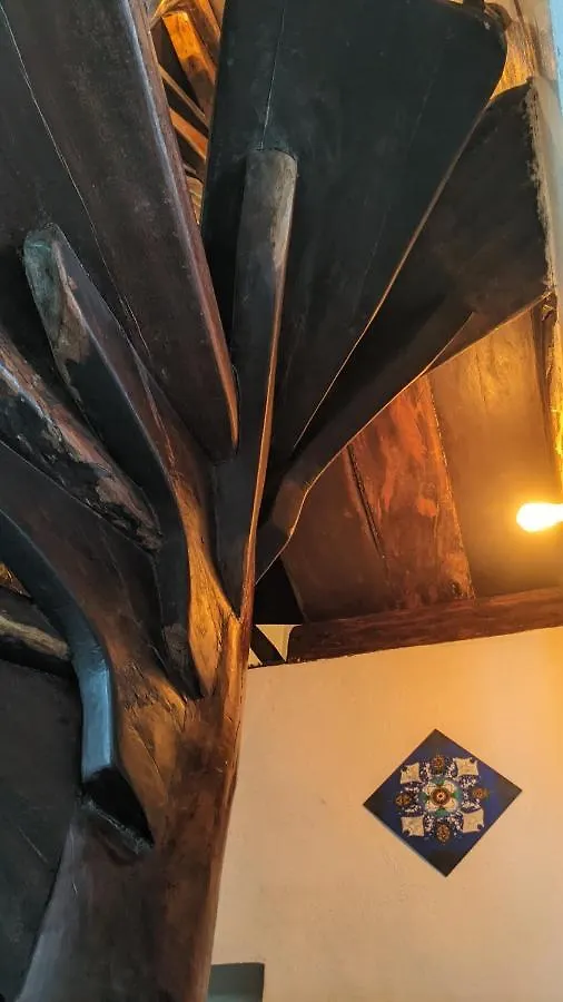 ***  The Green Village Boutique Hotel Плая-дель-Кармен Мексика