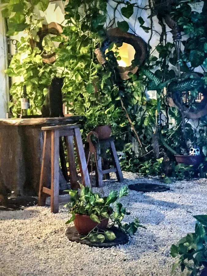 The Green Village Boutique Hotel Плая-дель-Кармен
