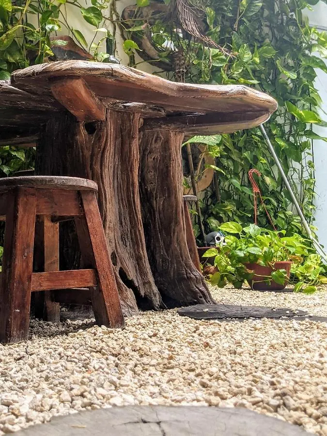 The Green Village Boutique Hotel Плая-дель-Кармен 3*,  Мексика